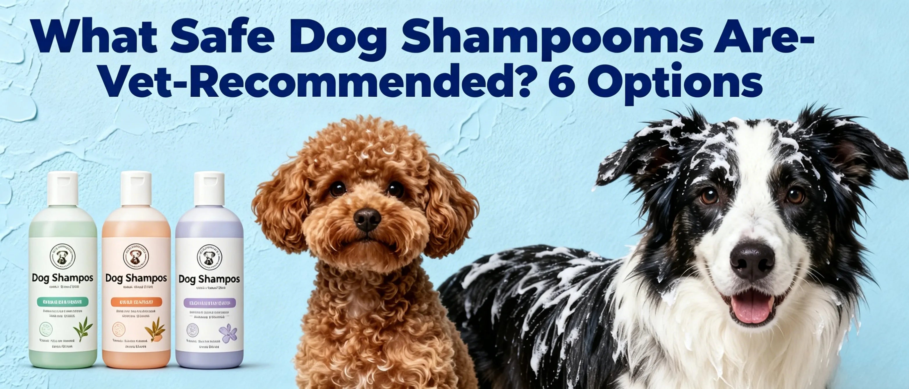 What Safe Dog Shampoos Are Vet-Recommended? 6 Options