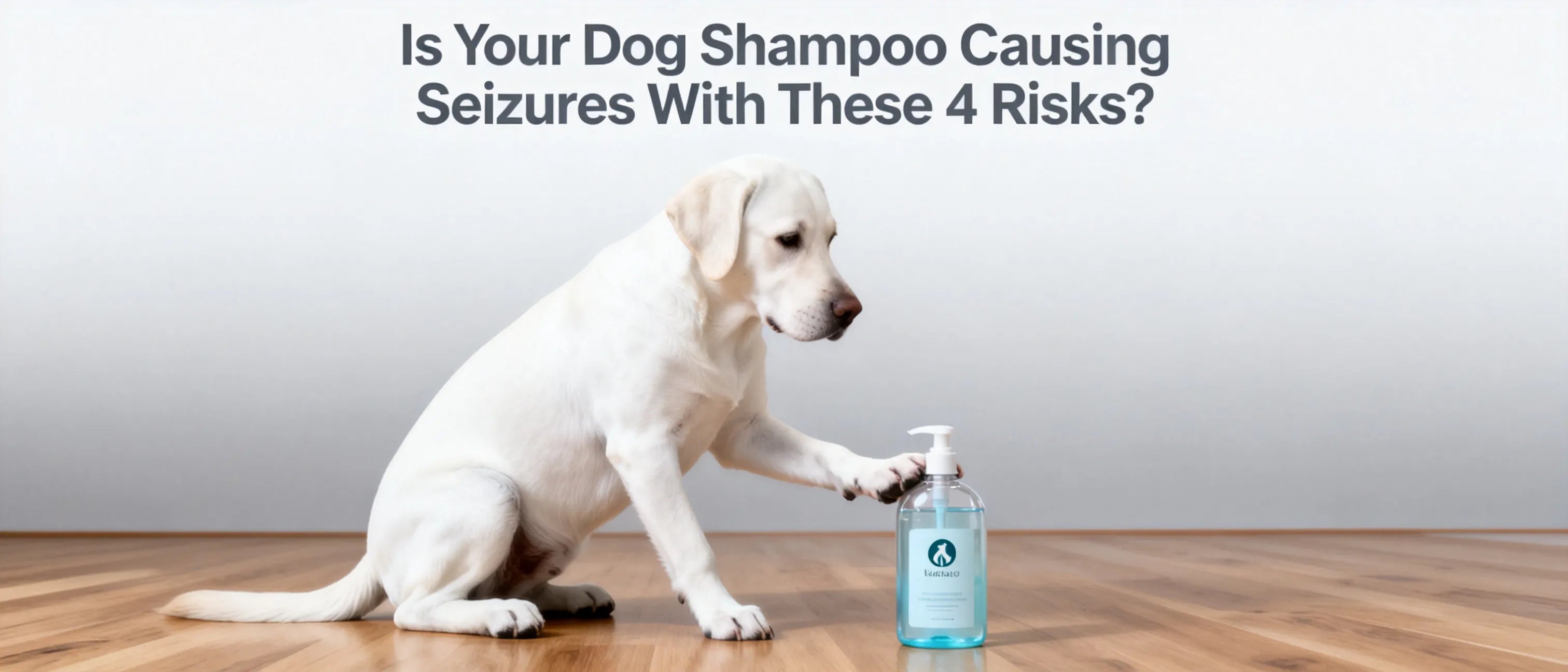 Is Your Dog Shampoo Causing Seizures With These 4 Risks?