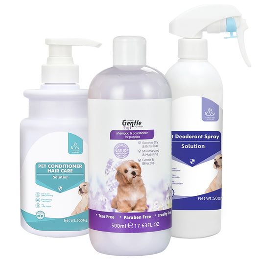 Lavender Essential Oil Shower Gel Kit