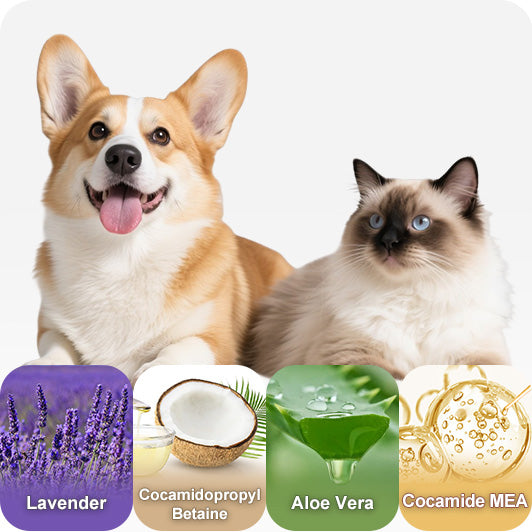 Lavender Essential Oil Shower Gel Kit
