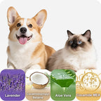 Lavender Essential Oil Soothing Pet Shampoo