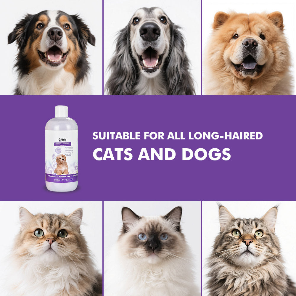 Lavender Essential Oil Soothing Pet Shampoo