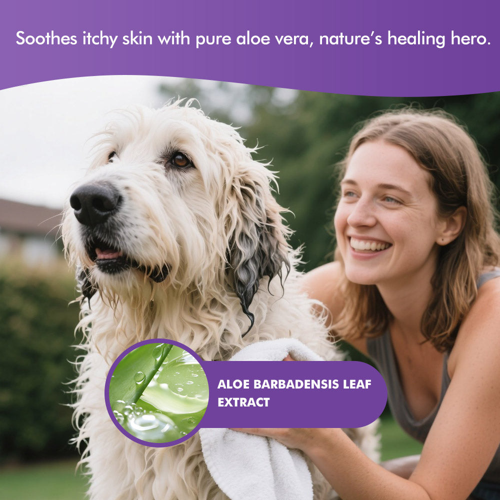 Lavender Essential Oil Soothing Pet Shampoo