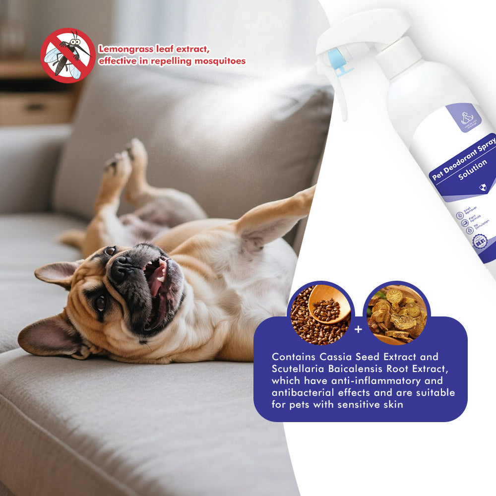 Natural Botanical Deodorizing Spray